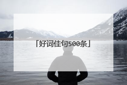 好词佳句500条