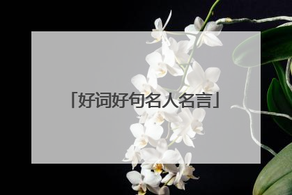 好词好句名人名言