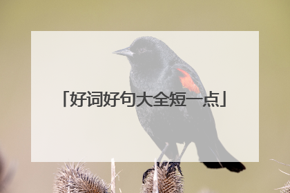 好词好句大全短一点