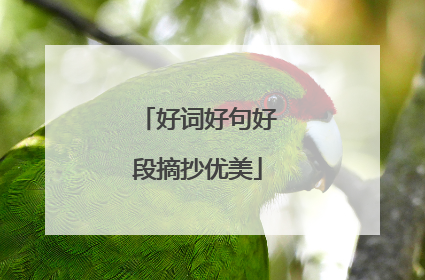好词好句好段摘抄优美