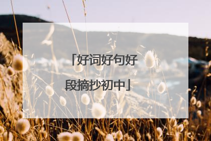 好词好句好段摘抄初中