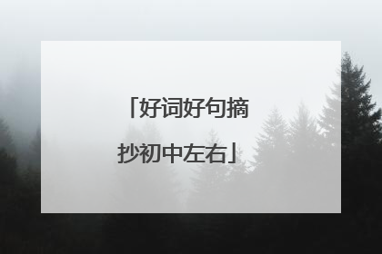 好词好句摘抄初中左右