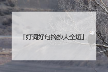 好词好句摘抄大全短