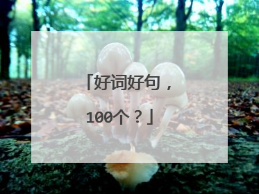 好词好句，100个？