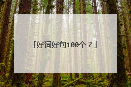 好词好句100个？