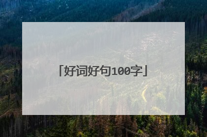 好词好句100字