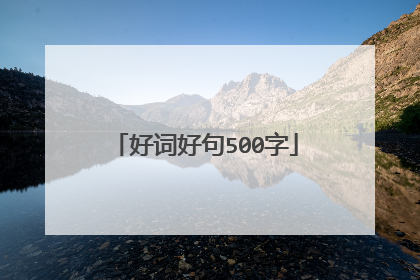 好词好句500字