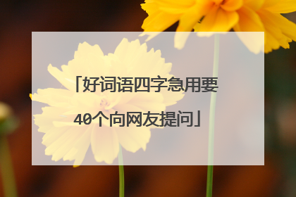 好词语四字急用要40个向网友提问