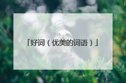 好词(优美的词语)