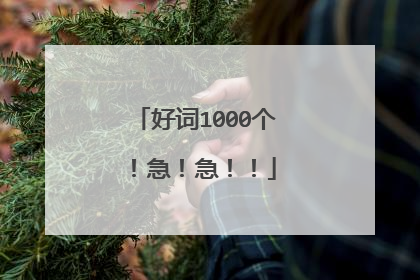 好词1000个!急!急!!