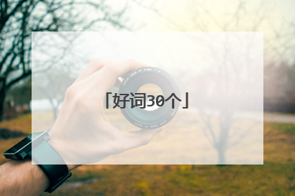 好词30个