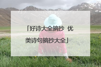 好诗大全摘抄 优美诗句摘抄大全