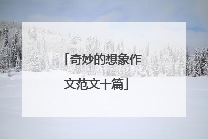 奇妙的想象作文范文十篇