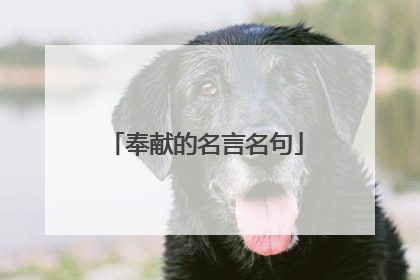 奉献的名言名句