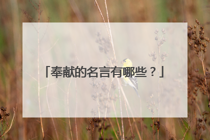 奉献的名言有哪些?