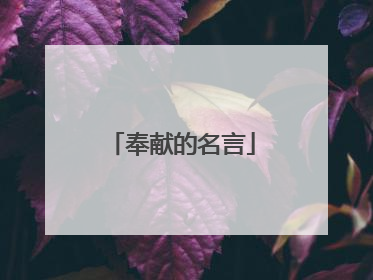 奉献的名言