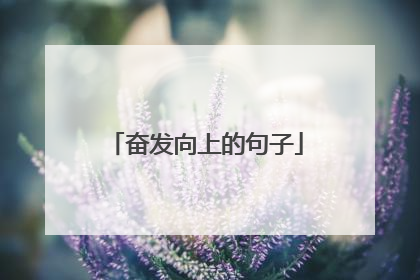 奋发向上的句子