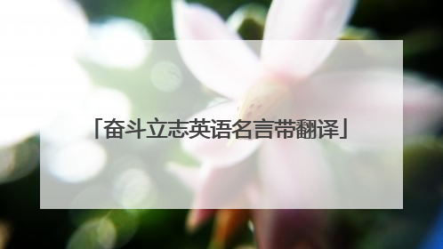 奋斗立志英语名言带翻译