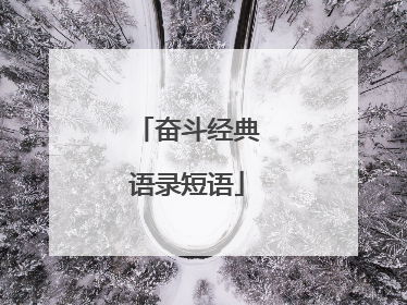 奋斗经典语录短语