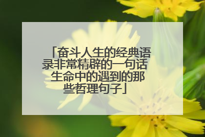 奋斗人生的经典语录非常精辟的一句话 生命中的遇到的那些哲理句子