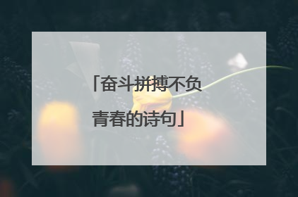 奋斗拼搏不负青春的诗句
