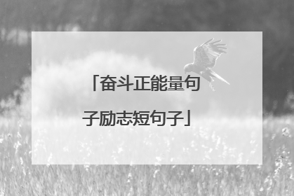 奋斗正能量句子励志短句子