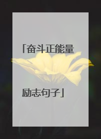 奋斗正能量励志句子