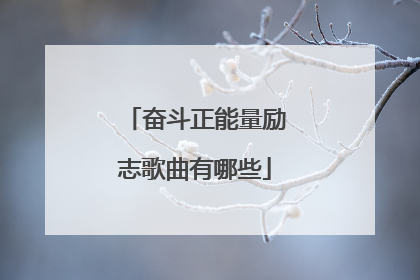 奋斗正能量励志歌曲有哪些