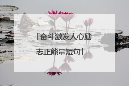 奋斗激发人心励志正能量短句