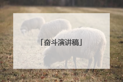 奋斗演讲稿