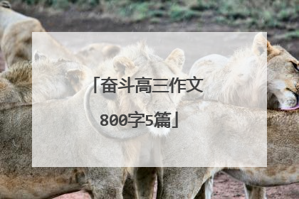 奋斗高三作文800字5篇