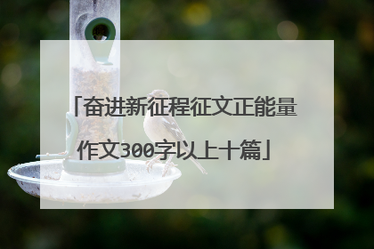 奋进新征程征文正能量作文300字以上十篇