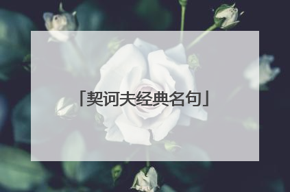 契诃夫经典名句