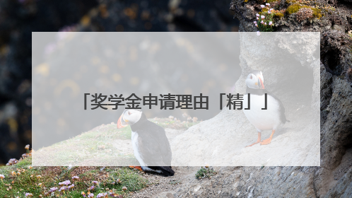 奖学金申请理由「精」