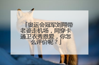 奥运会冠军刘翔带老婆走机场,同穿卡通卫衣秀恩爱,你怎么评价呢?