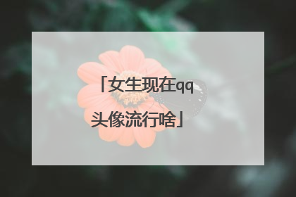 女生现在qq头像流行啥