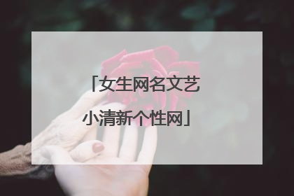 女生网名文艺小清新个性网