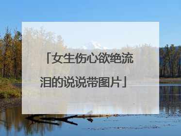 女生伤心欲绝流泪的说说带图片