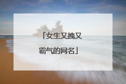 女生又拽又霸气的网名