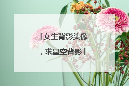 女生背影头像，求星空背影