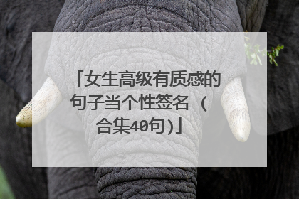 女生高级有质感的句子当个性签名 (合集40句)