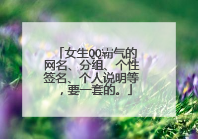 女生QQ霸气的网名、分组、个性签名、个人说明等,要一套的。