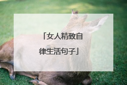 女人精致自律生活句子