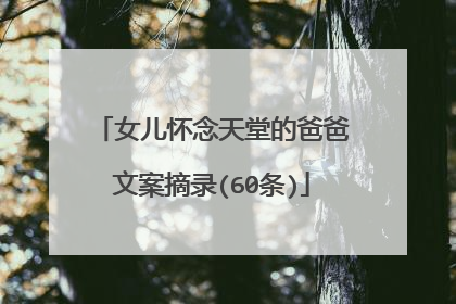 女儿怀念天堂的爸爸文案摘录(60条)