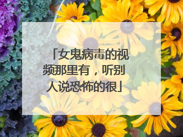 女鬼病毒的视频那里有,听别人说恐怖的很