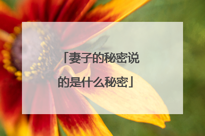 妻子的秘密说的是什么秘密