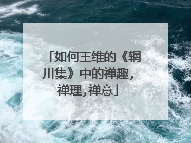 如何王维的《辋川集》中的禅趣,禅理,禅意