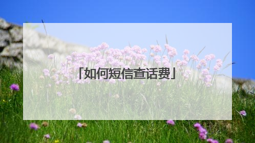 如何短信查话费