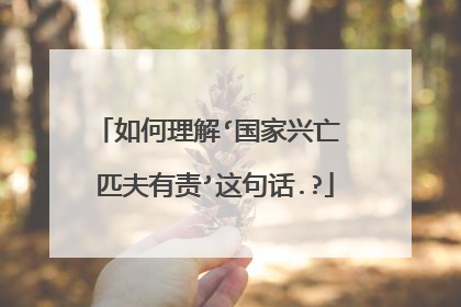 如何理解‘国家兴亡 匹夫有责’这句话.?