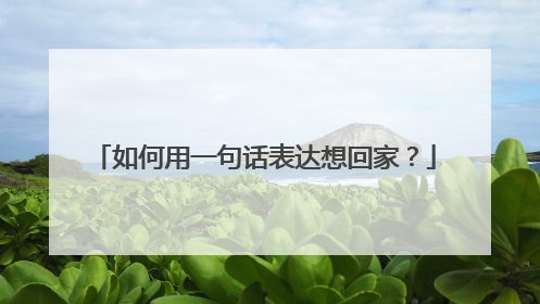 如何用一句话表达想回家？